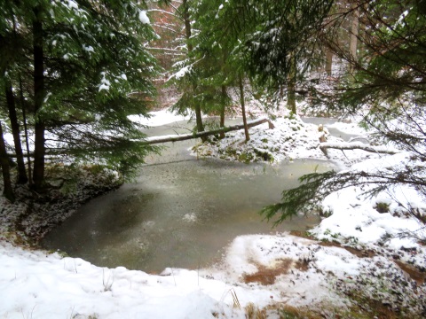 "Bibersee"  im Schlehenbachtal  im Dezember 2023