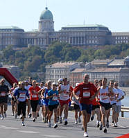 MSM - Midnight Sun Marathon - Not able to join us in Tromsø? Join us from  wherever you are :)! Registration