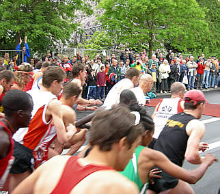 Würzburg Marathon 2006