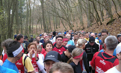 Zeiler Waldmarathon 2008