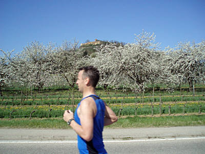 Marathon Deutsche Weinstraße 2010