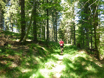Black Forest Trailrun 2011
