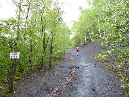 Hartfüssler Trail 2013