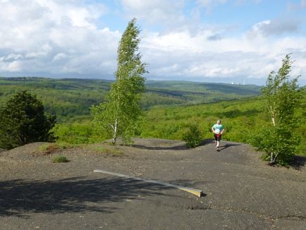 Hartfüssler Trail 2013