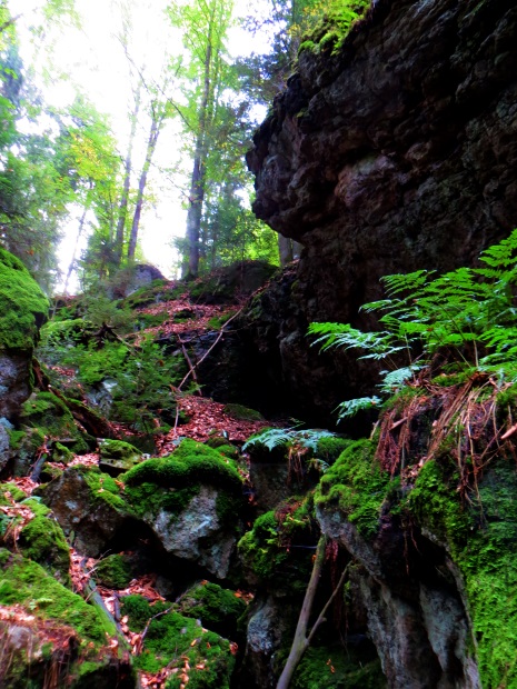 Joggingtour am 18.09.2014 im Bayerischen Wald von Unterried über Mais nach Frath