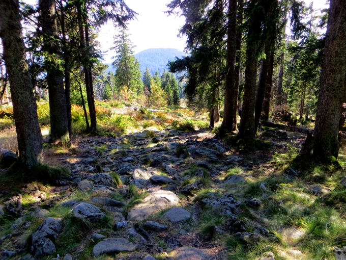 Joggingtour am 18.09.2014 im Bayerischen Wald von Bodenmais zum Arber