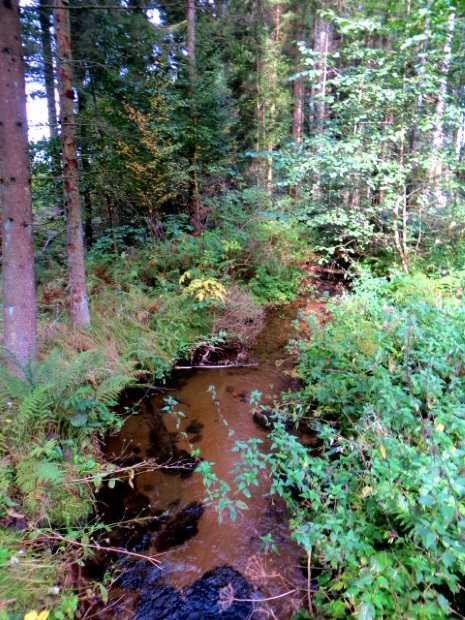 Joggingtour am 18.09.2014 im Bayerischen Wald von Unterried über Mais nach Frath