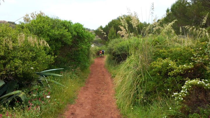 Trail Menorca Cami de Cavalls 2015