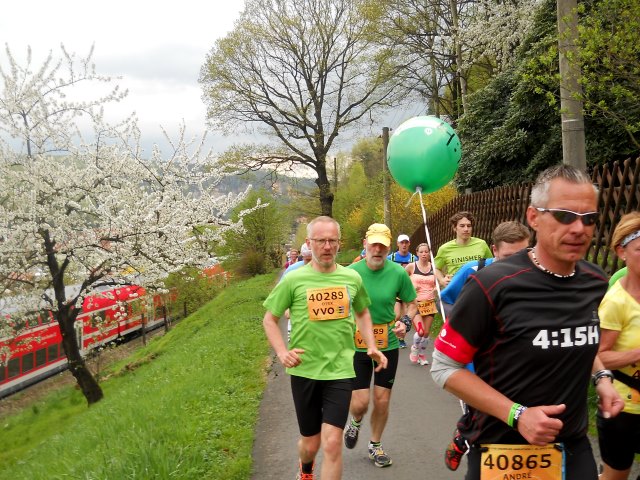 Oberelbe Marathon  2015