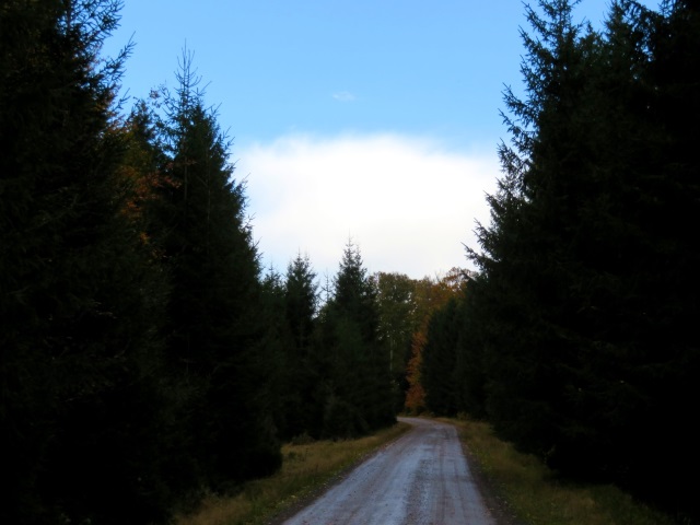 Tour im Thüringer Wald am 20.10.2021