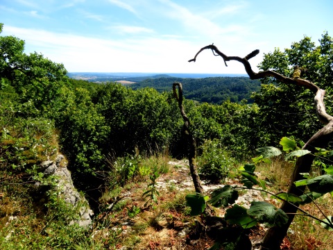 Aussichtspunkt oberhalb von Frankendorf bei meiner Amstling-Tour im August  2022